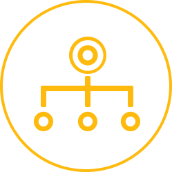 Network Automation