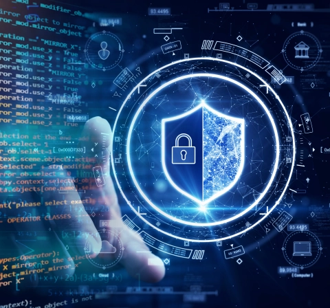 Robust Security Meets Adaptive Scalability